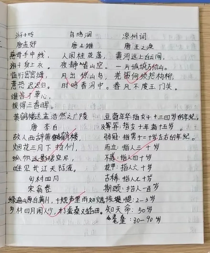 纯美式篮球训练计划方案_1